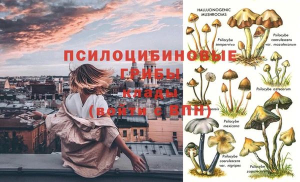 дурь Аркадак
