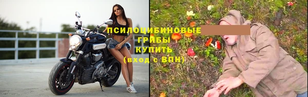 меф Арсеньев
