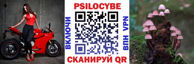 Псилоцибиновые грибы Magic Shrooms  где купить   Рыбное 